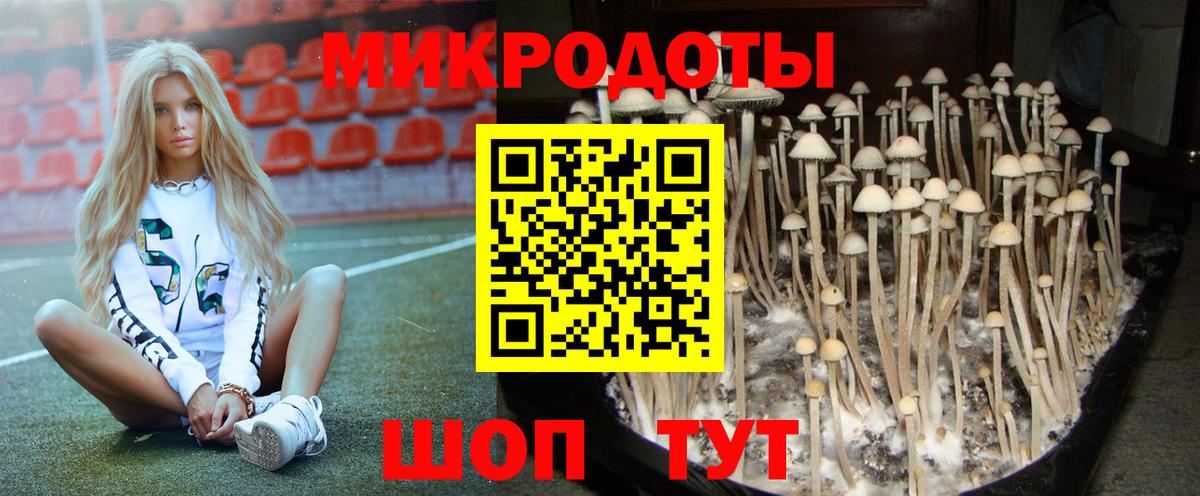 Шадринск  Галлюциногенные грибы Psilocybine cubensis  Псилоцибиновые грибы мухоморы  Вход с VPN 